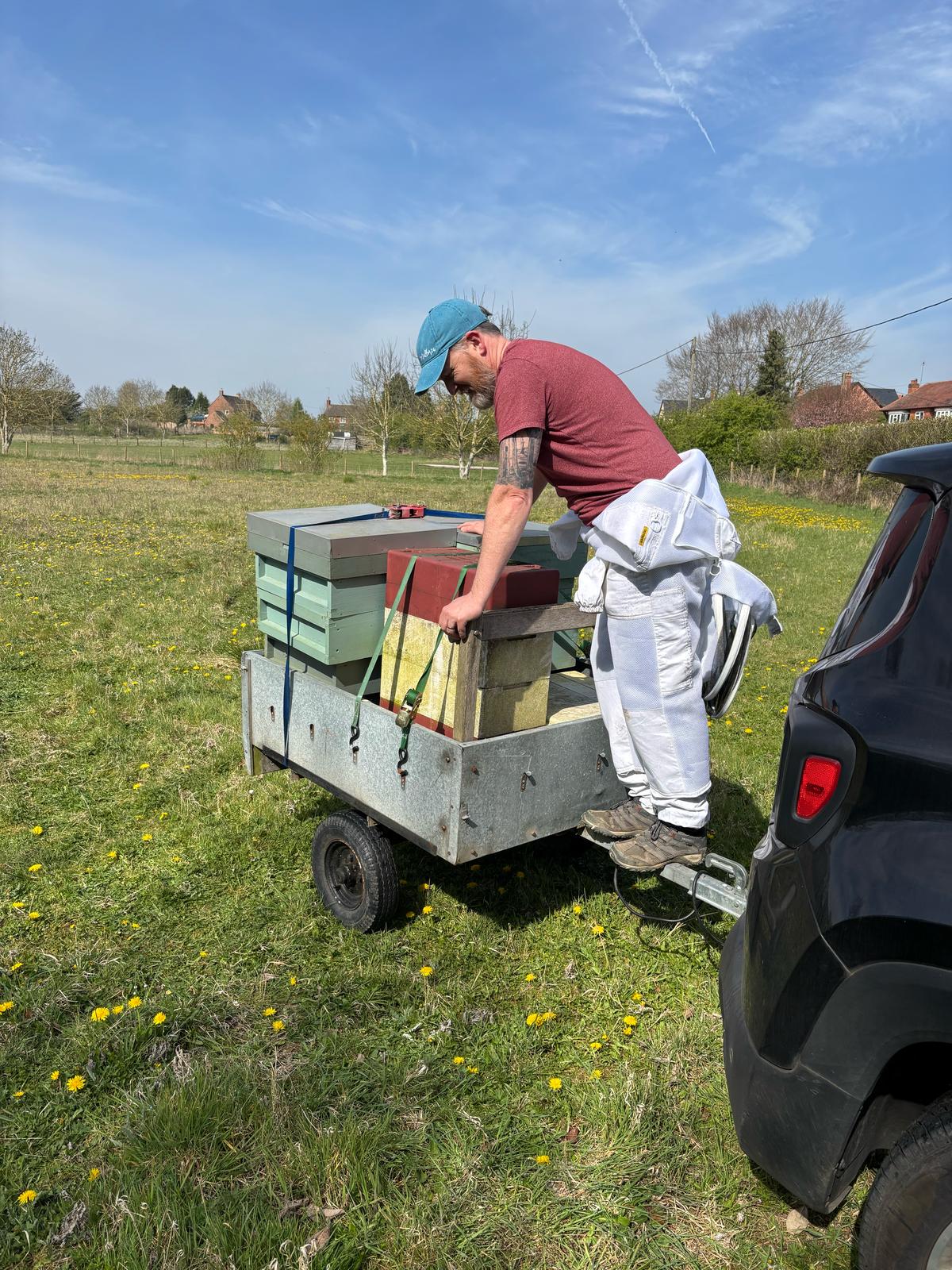 Chris Culshaw moving beehives on a trailer in Northamptonshire, demonstrating real beekeeping experience behind HiveKeeper